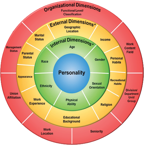 Wheel of Inclusion: de impact van racisme en discriminatie op drie dimensies